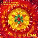 Charles Schillings Ashley Slater - Love Sex and Music C tc t Remix