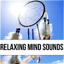 Relaxed Mind Music Universe - Lullaby Music