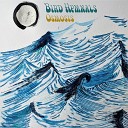 Bird Hymnals - Wind s Call