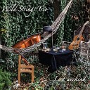 Wild Strings Trio - Basicovica