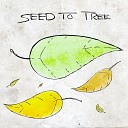 Seed To Tree - Broken Down