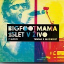 Big Foot Mama - Krila Live