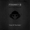 Franky B Aka Cryptic Monkey - Vertigo of the Worst