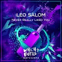 Leo Salom - Never Really Liked You Original Mix