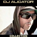 DJ ALIGATOR PROJECT - FADING BEAUTY feat LINNEA HANDBERG