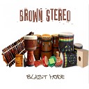 Brown Stereo - School Back