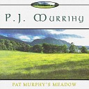 P J Murrihy - Leaves in the Wind