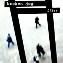 Broken Dog - The Night They Drove Old Dixie Down