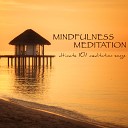 Meditation Guru - Call of the Mystic Relaxation Music