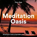 Meditasyon Enstr mental Musique Relaxante - Sommeil Paisible
