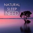 Natural Sleep Land - Delicate White Noise for Sleep Help