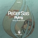Peter Sas - Flying Original Mix