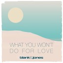 Blank Jones - What You Won t Do for Love