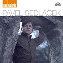 Pavel Sedl ek - I Love You More Than You ll Ever Know