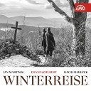 Jan Martin k David Mare ek - Winterreise Op 89 D 911 No 9 Will O the Wisp