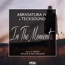Abriviatura IV & TeckSound - In the Moment (Niado Remix)