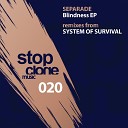 Separade - Blindness System of Survival Remix