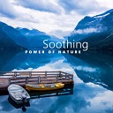 Academy of Powerful Music with Positive… - Peaceful Shoreline