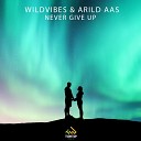 Wildvibes Arild Aas - Never Give Up