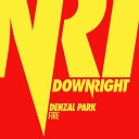 Radio Record - Denzal Park Fire Radio Reco