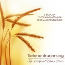 Tiefenentspannung Atmospheres - New Age Musik