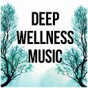 Wellness Spa Music Oasis - Essence Flight