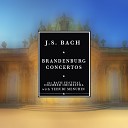 Yehudi Menuhin and Bath Festival Chamber… - Brandenburg Concerto No 6 in B flat BMV 1051 II Adagio ma non…
