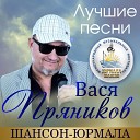 Вася Пряников - Молодка Live