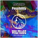 Revenge - Possibility Original Mix