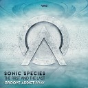Sonic Species - The First The Last Groove Addict Remix