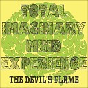 The Total Imaginary Mind Experience - Hammer Nails