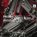 Prismatic Phocust Nasty Purple - Playing With Fire Original Mix