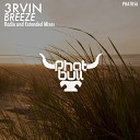 3rvin - Breeze Extended Mix