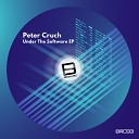 Peter Cruch - Trip To Amsterdam Original Mix