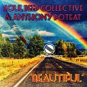 Soul Deep Collective Anthony Poteat - Beautiful Radio Edit