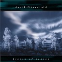 David Fitzgerald - Here I Stand