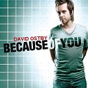 David Ostby - All Because of You