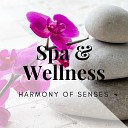 Six Senses Spa - Retreat Peaceful Songs