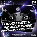 David Guetta - The World Is Mine Miron Mosquito Radio Mix