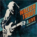 Walter Trout - Play The Guitar