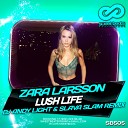 Zara Larsson - Lush Life Dj Andy Light Slava Slam Radio…