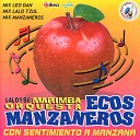 Lalo y Su Marimba Orquesta Ecos Manzaneros - Mix Lalo San Felipe Chiquilaja Cajola