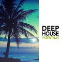 2017 Deep House - Disco Fever Original Mix