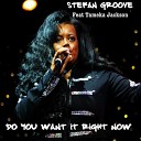 Stefan Groove feat Tameka Jackson - Do You Want It Right Now Original Mix