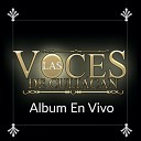 Las Voces De Culiacan - Las Calles Enlodadas