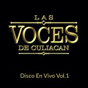 Las Voces de Culiacan - Olegario Chaidez