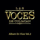 Las Voces De Culiacan - El Guerito De La Meza