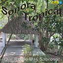 La Sonora Tropical - No Regreses M s