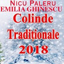 Nicu Paleru feat Emilia Ghinescu - Veseli Clopotei