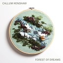 Callum Henshaw - Un Sue o en la Floresta